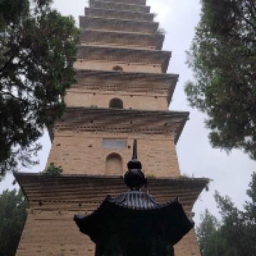 評論圖片 7