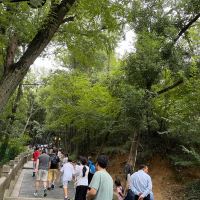評論圖片 4