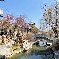 評論圖片 3