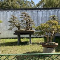 評論圖片 3