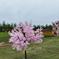 評論圖片 6