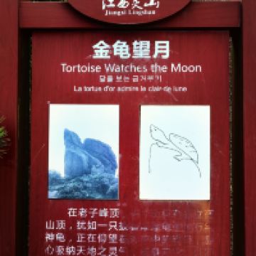 評論圖片 3