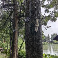 評論圖片 3