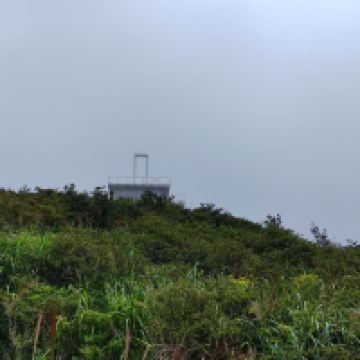 評論圖片 9