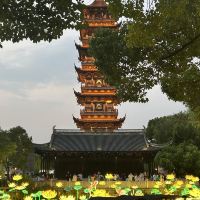 評論圖片 7
