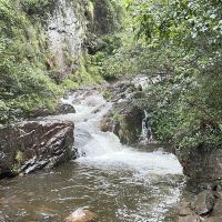 評論圖片 3
