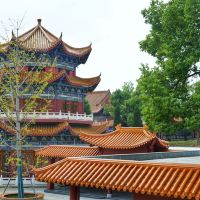 評論圖片 2