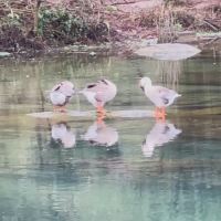 評論圖片 7
