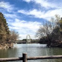 評論圖片 8