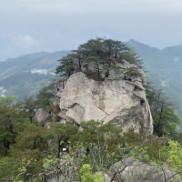 評論圖片 9