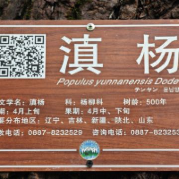 評論圖片 2