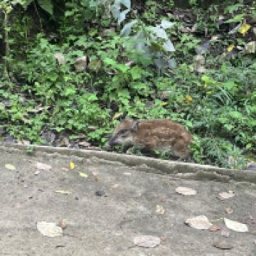 評論圖片 7