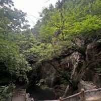 評論圖片 4