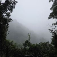 評論圖片 1