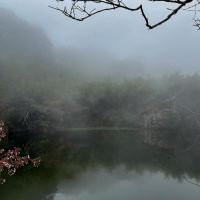 評論圖片 8