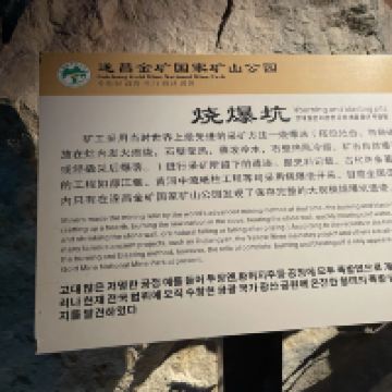 評論圖片 5