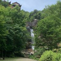 評論圖片 7