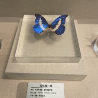 評論圖片 7