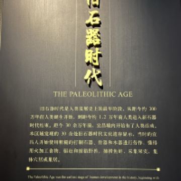 評論圖片 2
