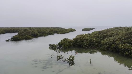 景点还是比较正规的，毕竟是大大去过的地方，生态环境很好，这些