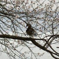 評論圖片 8