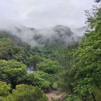 評論圖片 5