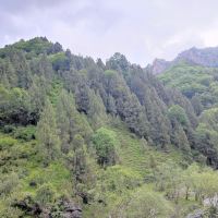評論圖片 6