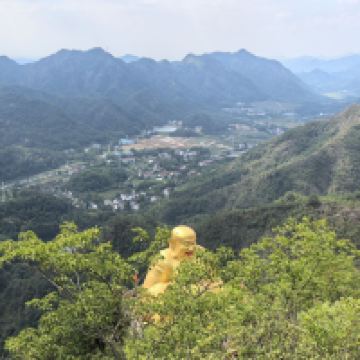 評論圖片 5