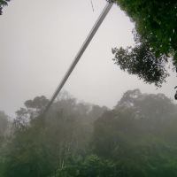 評論圖片 6