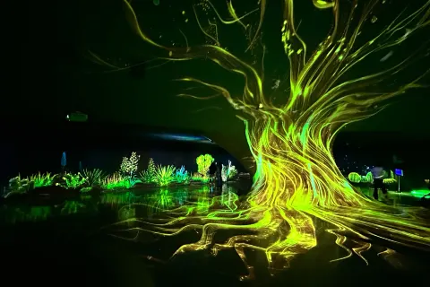 上海温室花園
