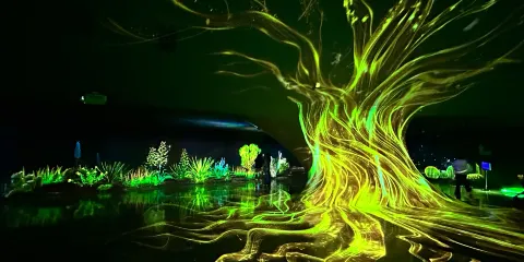 上海温室花園