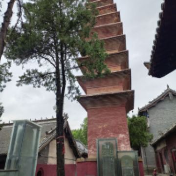 評論圖片 5