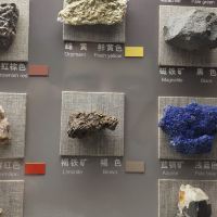 評論圖片 6