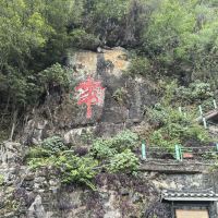 評論圖片 3
