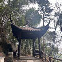 評論圖片 4