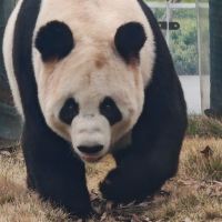 評論圖片 6