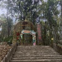 評論圖片 3