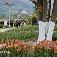 評論圖片 1