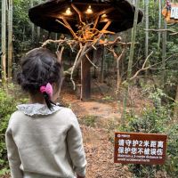 評論圖片 5
