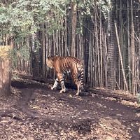 評論圖片 5