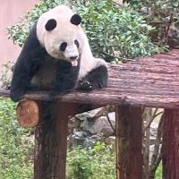 評論圖片 6