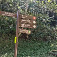 評論圖片 4
