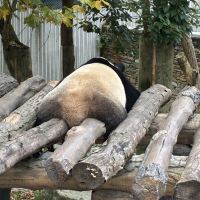 評論圖片 6