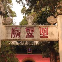 評論圖片 3
