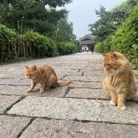 評論圖片 5
