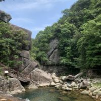 評論圖片 5