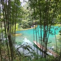 評論圖片 8