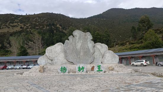 超級棒的景區，景區位於林芝市區，林芝賓館打車過去20元左右，