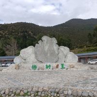 評論圖片 1