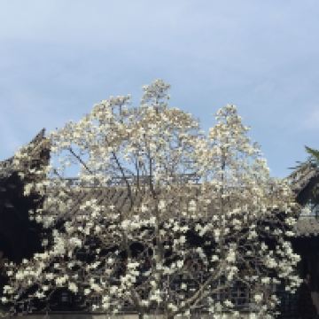 評論圖片 8